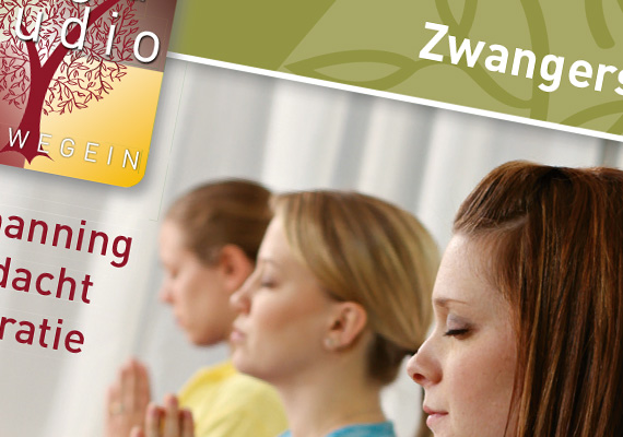 Bij het ontwikkelen van de huisstijl is er rekening gehouden met de verschillende marktsegmenten van het bedrijf, deze zijn alle 4 met een kleur toegekend.