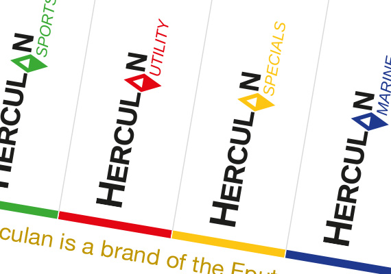 We zijn begonnen met het algemene logo. Nadat het bedrijf in marktsegmenten was verdeeld, is aan elke een kleur toegekend omdat dit voorheen onduidelijk was.